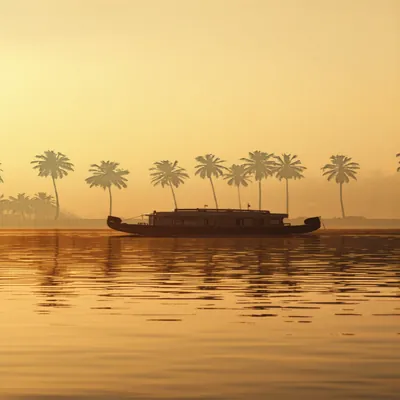 Kerala Backwater Sunset