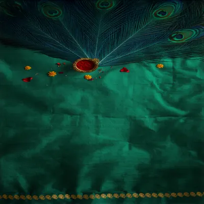 Peacock Feathers